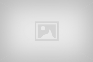 Test Kalender